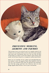 Kittens and Cats (12), 1957