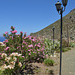 The Island of Tilos, At the Entrance to the Monanstery of Aghios Panteleimonas
