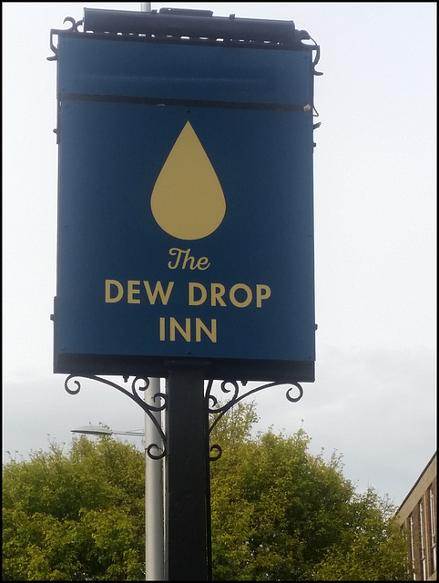 boring Dew Drop pub sign