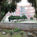 A small garden between Benfica's blocks - XV