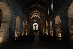 Monasterio de Sant Miquel de Cuixà