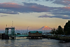 Tacoma Yacht-Hafen, Blick auf Mt. Rainier *