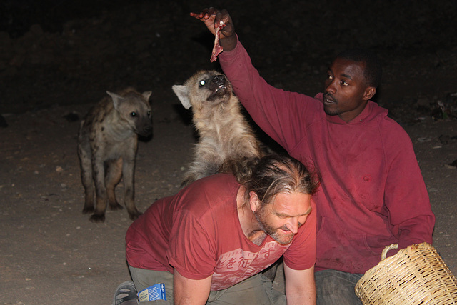 A Hyena Climbs on my Back