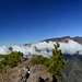 La Palma, from Pico Bejenado (1.854 M.) ✿ Panoramic shot of 23 photos