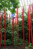 IMG 6338-001-Red Reeds 2
