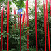 IMG 6338-001-Red Reeds 2