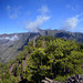 La Palma, left Pico Bejenado (1.854 M.) ✿ Panoramic shot of 24 photos