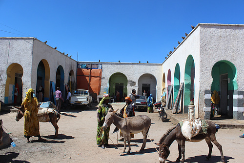 At a Well, Gidir Magala, Harar