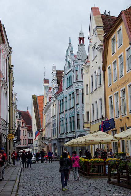 in der Altstadt von Tallinn (© Buelipix)