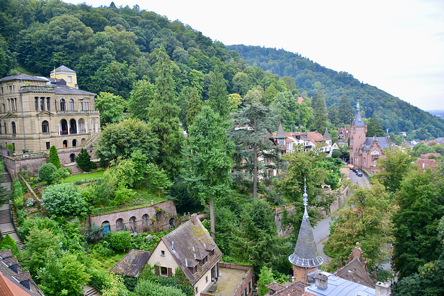 Heidelberg 2021 – View from the Castle