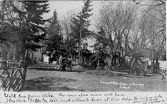 4558. Scene at Deer Lodge, a Winnipeg Suburb