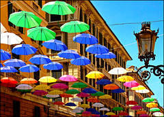 Ombrelli a Genova a festeggiare la primavera !