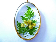 Oval shape with green leaves and yellow flowers