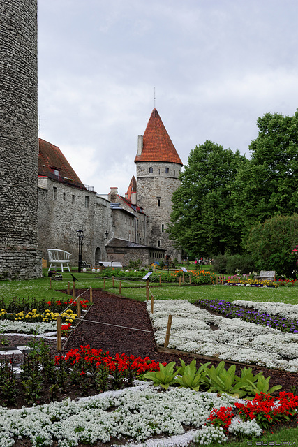 Tallinn - beim Platz der Türme (© Buelipix)