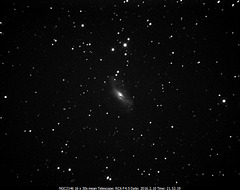 NGC2146 The 'Dusty Hand' Galaxy