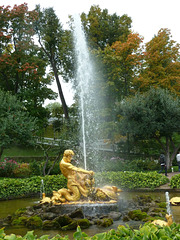 Fountain in the grounds of Peter the Great's palace at Peterhof, St Petersburg.