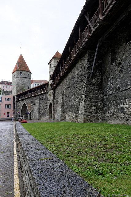 Tallinn - entlang der Stadtmauer (© Buelipix)