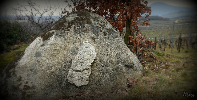 Le rocher qui dort d'un Oeil, dans les vignes, the rock that sleeps with one eye, in the vines