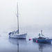 Boats in the Mist