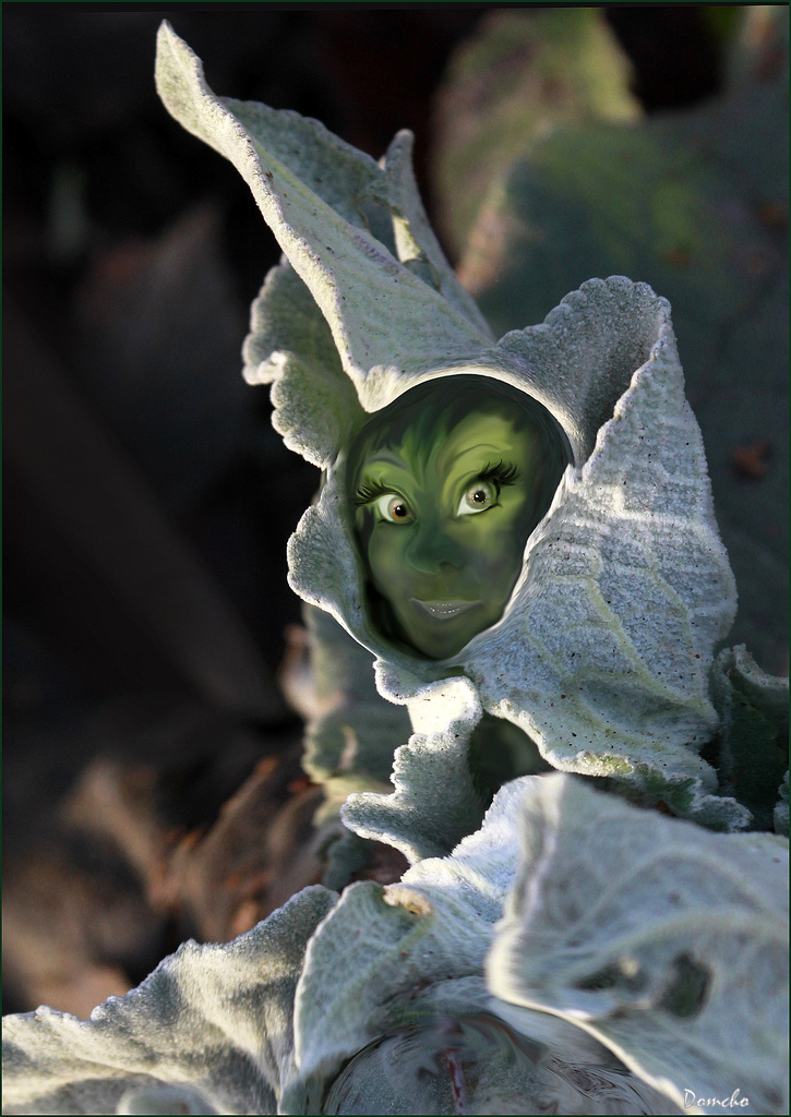 Trolls..... 47912672.02334b0c.1024
