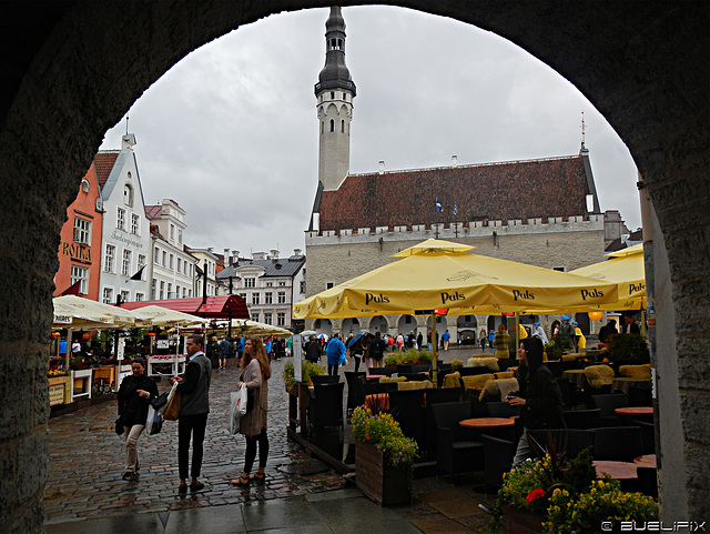 beim Rathausplatz Tallinn (© Buelipix)