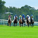 Races at Chantilly