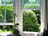 View from my lounge out to the garden...