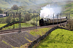 Bulleid Merchant Navy class 35018 BRITISH INDIA LINE at Greenholme with 1Z86 06.54 London Euston - Appleby The Cumbrian Mountain Express 13th May 2023 (steam from Carnforth)