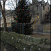 Christmas tree at St John's