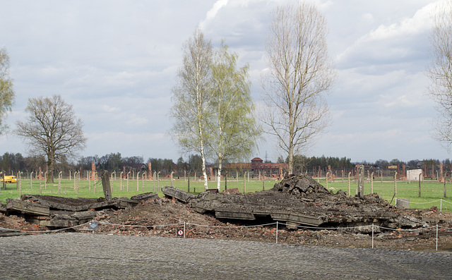 Poland Auschwitz-Birkenau  (#2357)