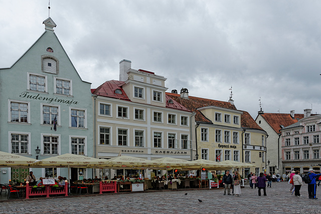 Rathausplatz Tallinn (© Buelipix)