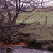 Bullhouse minewater discharge into the River Don, near Penistone, west Yorkshire.
