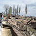 Poland Auschwitz-Birkenau  (#2360)