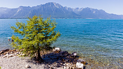 170617 Montreux lac 1