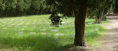 La tombejo  -  Cmentarz