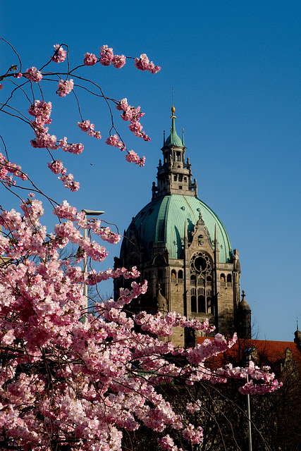 Frühling in Hannover