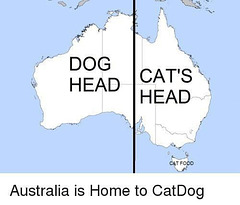 O&S (meme) - cat vs dog