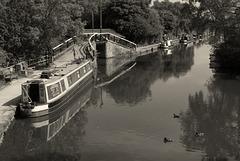 The peaceful Macclesfield Canal