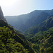 Die grünen Berge Madeiras