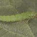 Caterpillarstack