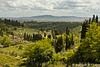 San Gimignano view Tuscany 052614-002