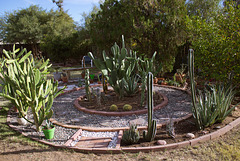 Cactus garden progress 12/7/15