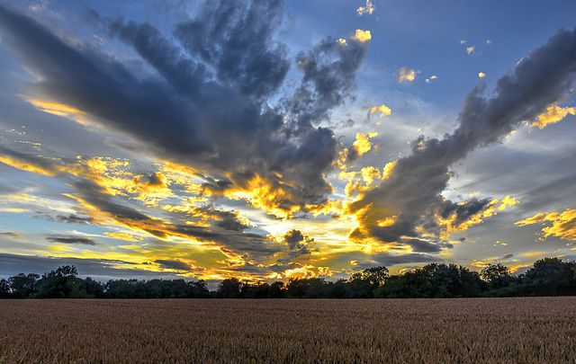 Harvest time sunset, North Yorkshire