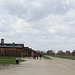 Poland Auschwitz-Birkenau  (#2372)