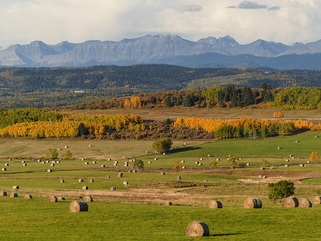 Farmland of the Alberta foothills