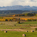 Farmland of the Alberta foothills
