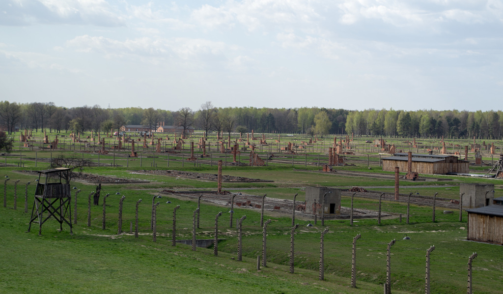 Poland Auschwitz-Birkenau  (#2376)