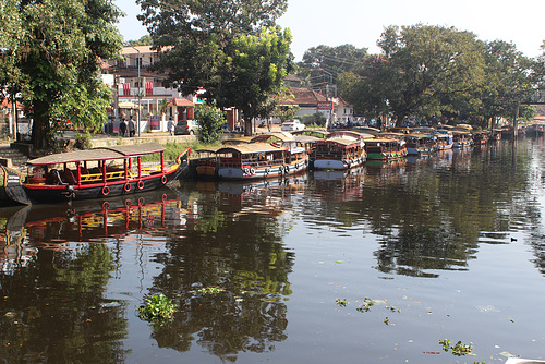 Boats in Alleppey