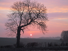 Winter sunrise, East Ayton, North Yorkshire