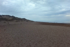 Paysage de plage / Beach landscape